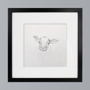 Baby calf graphite drawing study
