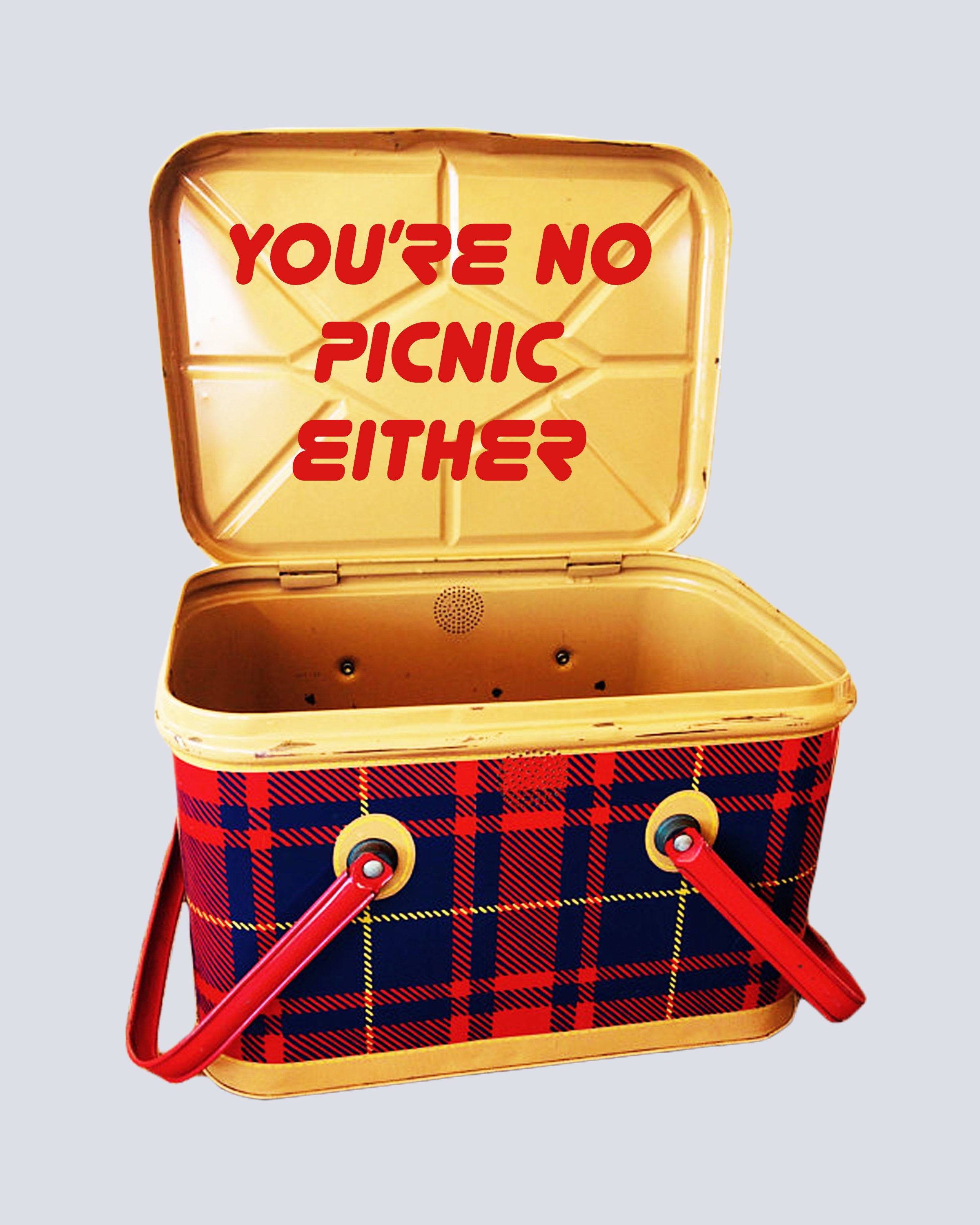 You're No Picnic Either Etsy