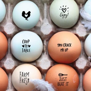 2 for 20 Mini Egg Stamp - Backyard Chickens - Farm Fresh Eggs Stamp - Chicken Egg Stamp Chicken Lover FarmhouseMaven - Hen Stamp - Gift