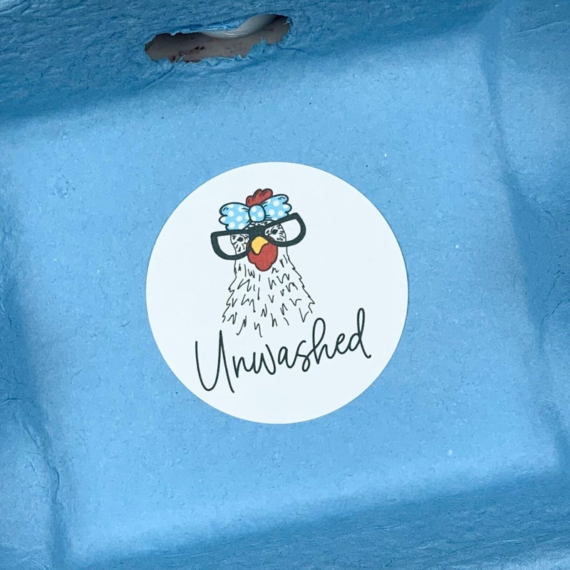 Backyard Egg Stickers Etsy