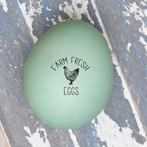 Mini Egg Stamper Fresh Eggs - Backyard Chickens - Cute Stamp for Eggs - Chicken Babies - Chicken Lover Gift Idea - Egg Carton