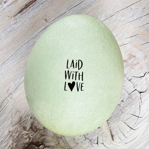 Stamper for Eggs - Laid with Love  - Mini Egg Stamp - Chickens - Fresh Eggs Stamp - Mini Egg Stamp - Chicken Lover Gift - Farmhouse