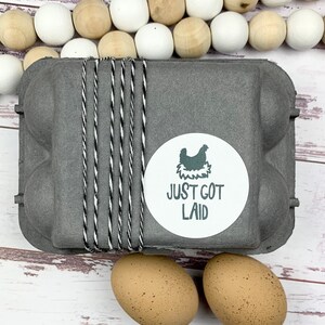 Just Got Laid Stickers - Chicken Stickers - Farm Fresh Stickers - Egg Carton Sticker - Chickens -  Chicken Lover Gift