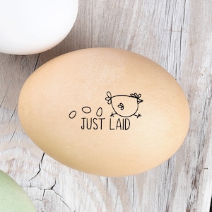 Egg Stamp - Just Laid - Mini Egg Stamp - Chickens - Egg Stamps - Chicken Stamp - Fresh Eggs - Chicken Lover - FarmhouseMaven
