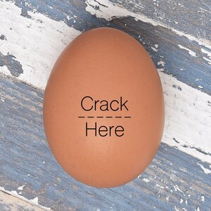Egg Stamp - Mini Egg Stamp - Crack Here - Fresh Eggs - Chickens - Funny Egg Stamp- Backyard Chickens - Chicken Coop - FarmhouseMaven