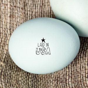 Egg Stamp - Laid in USA - Fresh Eggs - Backyard Chickens - Handgathered - Stamp - Farm Stamp - Chickens - FarmhouseMaven