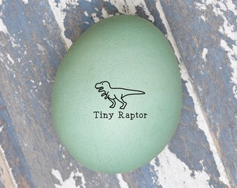 Mini Egg Stamp - Tiny Raptor - Chicken Egg Stamper - Egg Stamper for Kids - Mini Chicken Egg Stamper - Dino Egg Stamp - Egg Carton Stamp