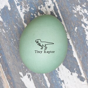 Mini Egg Stamp - Tiny Raptor - Chicken Egg Stamper - Egg Stamper for Kids - Mini Chicken Egg Stamper - Dino Egg Stamp - Egg Carton Stamp