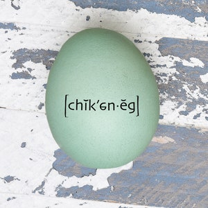 Egg Stamp - Mini Egg Stamp - Egg Definition - Fresh Eggs - Chickens - Chicken Coop - Funny Egg Stamp - FarmhouseMaven