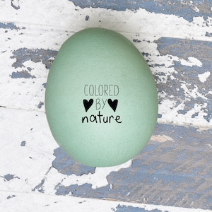 Egg Stamp - Colored by Nature - Chicken Egg Stamp - Rainbow Eggs - Fresh Eggs - Chickens - Chicken Coop - Chicken Lady Gift Idea