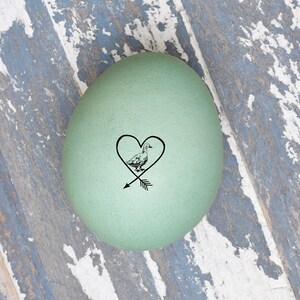 May include: A green duck egg with a black and white drawing of a duck inside a heart with an arrow through it.