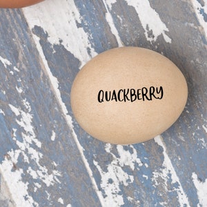 May include: A brown egg with the word 
