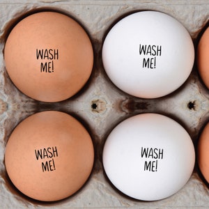 EGG STAMP - Wash Me Mini Egg Stamp - Backyard Chickens - Fresh Eggs - Chickens - Egg Carton - FarmhouseMaven - Chicken Lover