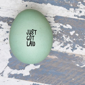 Egg Stamp - Just Got Laid - Egg Stamp -  Chickens - Chicken Stamp - Farmers Market - Chicken Egg Stamp - Funny Stamp - FarmhouseMaven