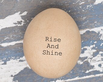 May include: A brown egg with the words "Rise And Shine" written on it. The egg is sitting on a blue and white wooden surface.