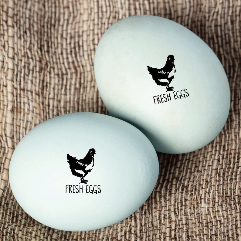 Egg Carton Backyard Chickens Stamp Farm Stamp Egg Stamp Good Egg Chickens FarmhouseMaven Fresh Eggs