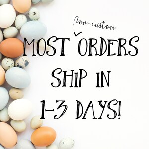 May include: An assortment of eggs in various colors, including white, brown, and blue, are arranged along the left side of a white background. The text "MOST ORDERS SHIP IN 1-3 DAYS!" is written in black script.
