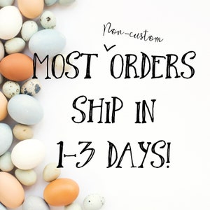 May include: A white background with the text "Non-custom MOST ORDERS SHIP IN 1-3 DAYS!" surrounded by a border of various coloured eggs.