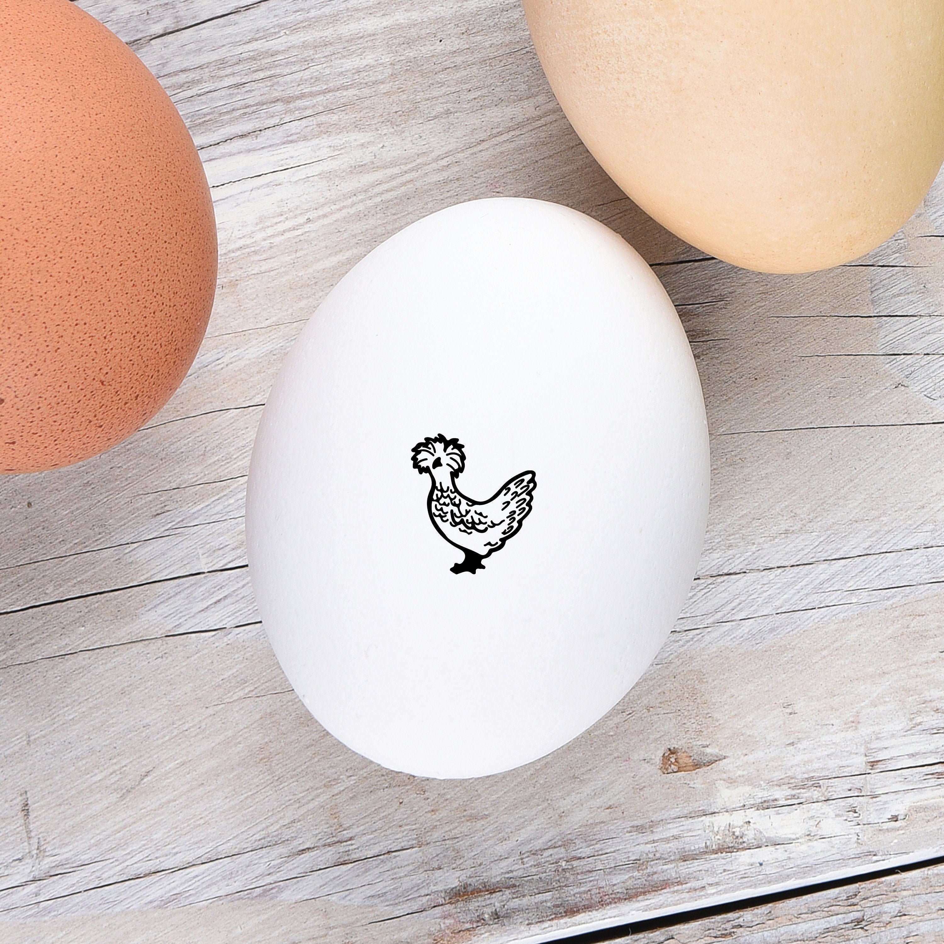 PERSONALIZED EGG STAMPS, Chicken Stamp, Chicken Egg Label, Farm Name Gift,  Fun Chicken Owner Gift, Chicks Hen Design, Chicken Coop Decor by Southern  Paper and Ink