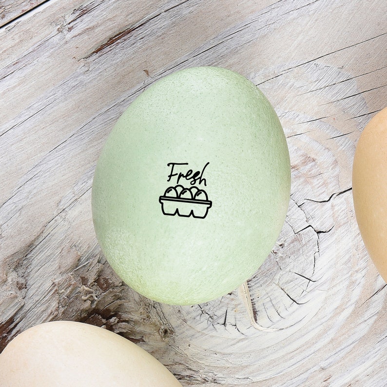 Egg Stamp Fresh Eggs Mini Egg Stamps Egg Carton Stamp Chickens Fresh Eggs Stamp Mini Egg Stamp FarmhouseMaven image 1