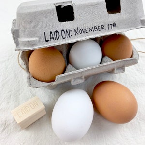 May include: Six brown and white eggs in a cardboard egg carton. The carton has a stamp that reads "LAID ON: NOVEMBER 17th".