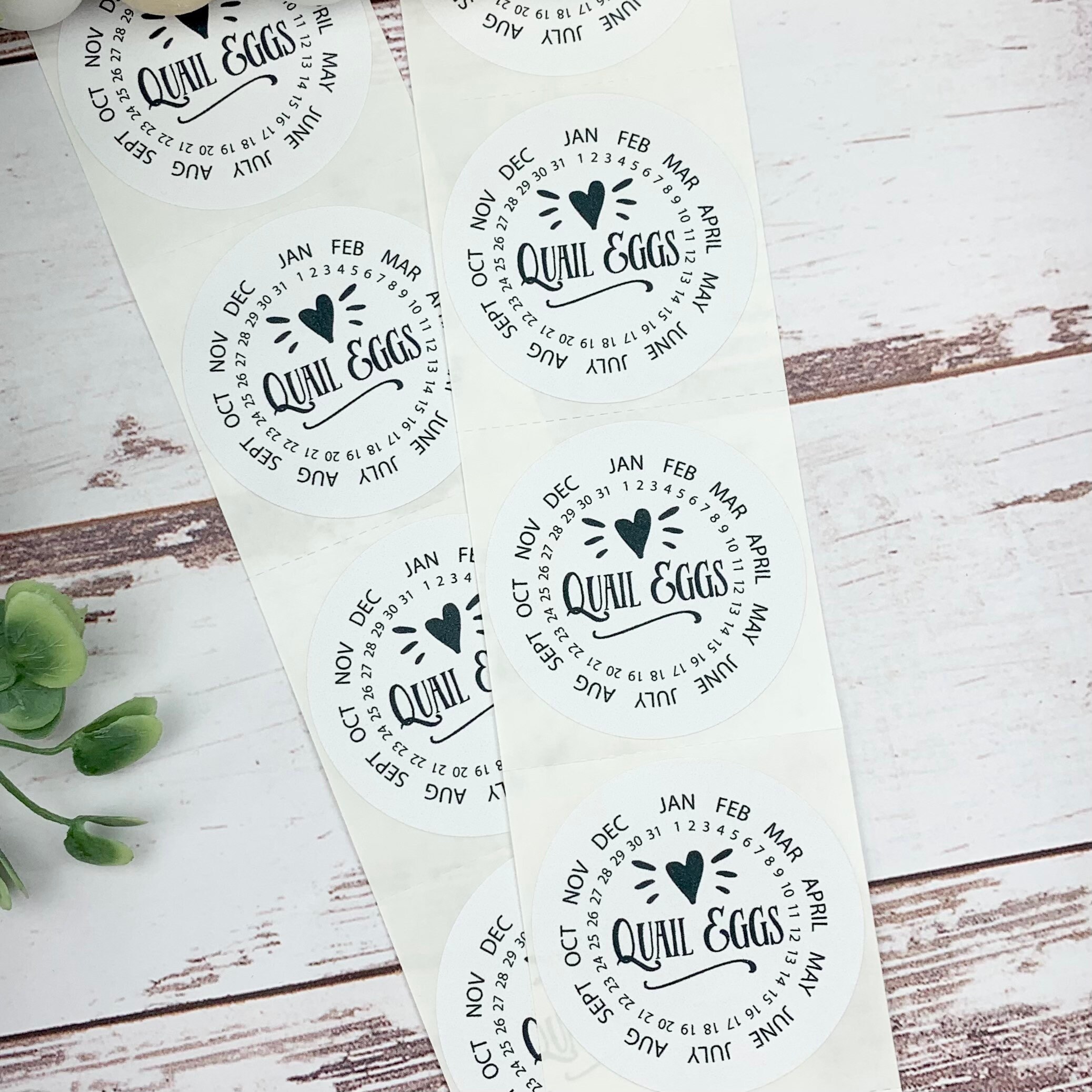 Quail Egg Stickers Quail Egg Carton Quail Egg Date Label Etsy