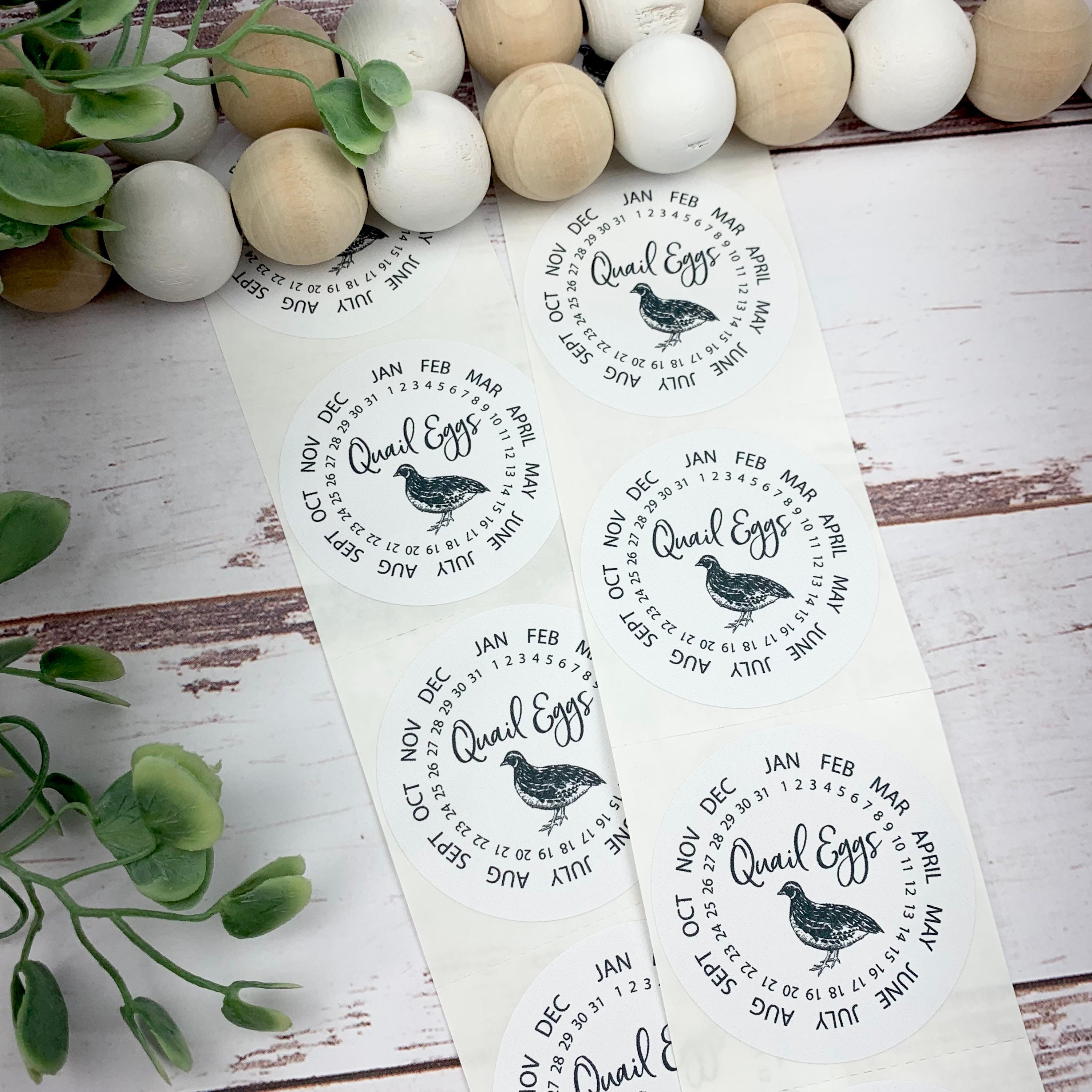 Quail Egg Stickers Quail Egg Carton Quail Egg Date Label Etsy