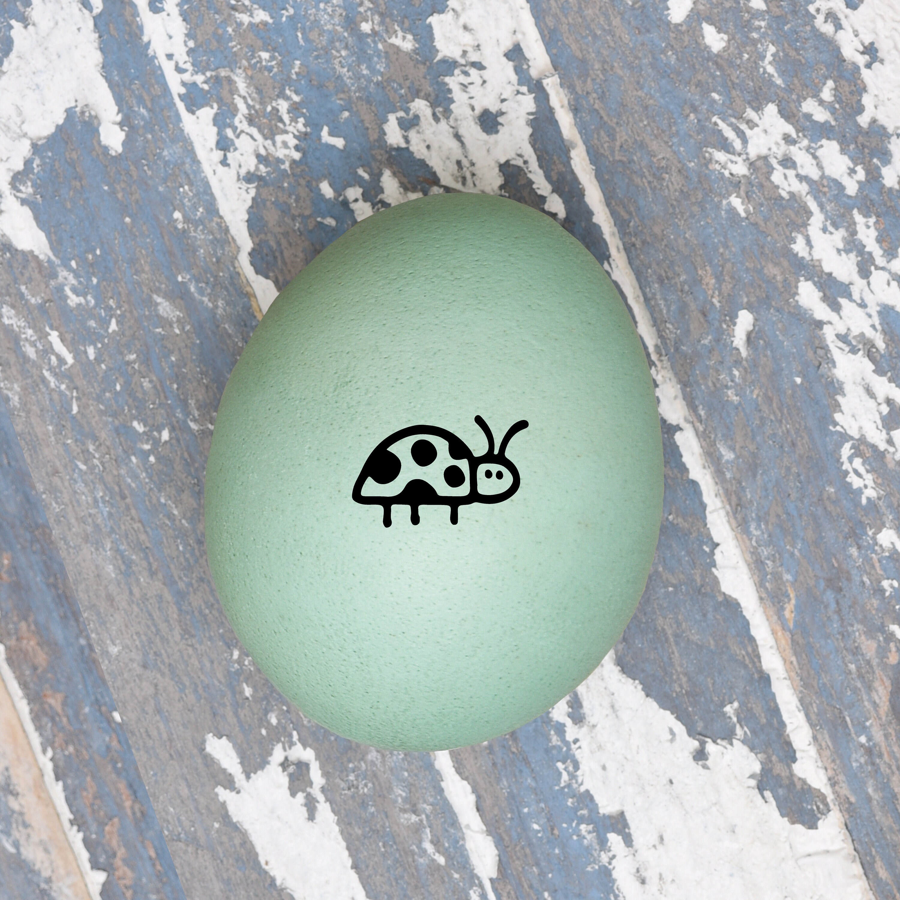 EGG STAMP, Chicken EGG Stamp, Egg Stamps, Custom Egg Stamp, Egg Labels,  Mini Egg Stamp, Farm Stamp, Eggs Stamp, Fresh Egg Stamp 