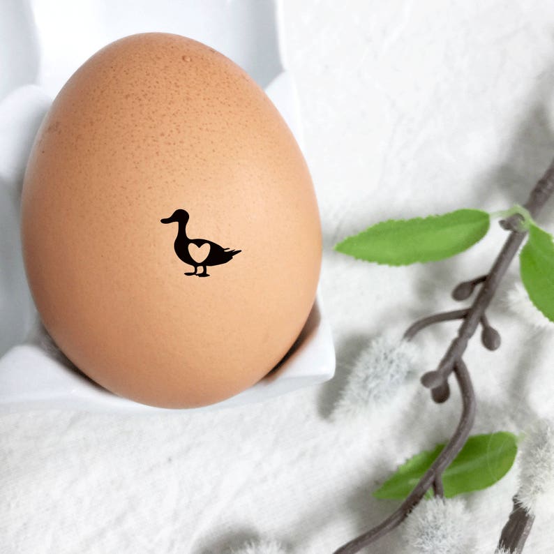 K&ouml;nnte beinhalten: Ein braunes Ei mit einer schwarzen Silhouette einer Ente mit einem Herzen in der Brust. Das Ei befindet sich in einem wei&szlig;en Eierkarton und im Hintergrund ist ein Zweig mit gr&uuml;nen Bl&auml;ttern und wei&szlig;en Knospen zu sehen.