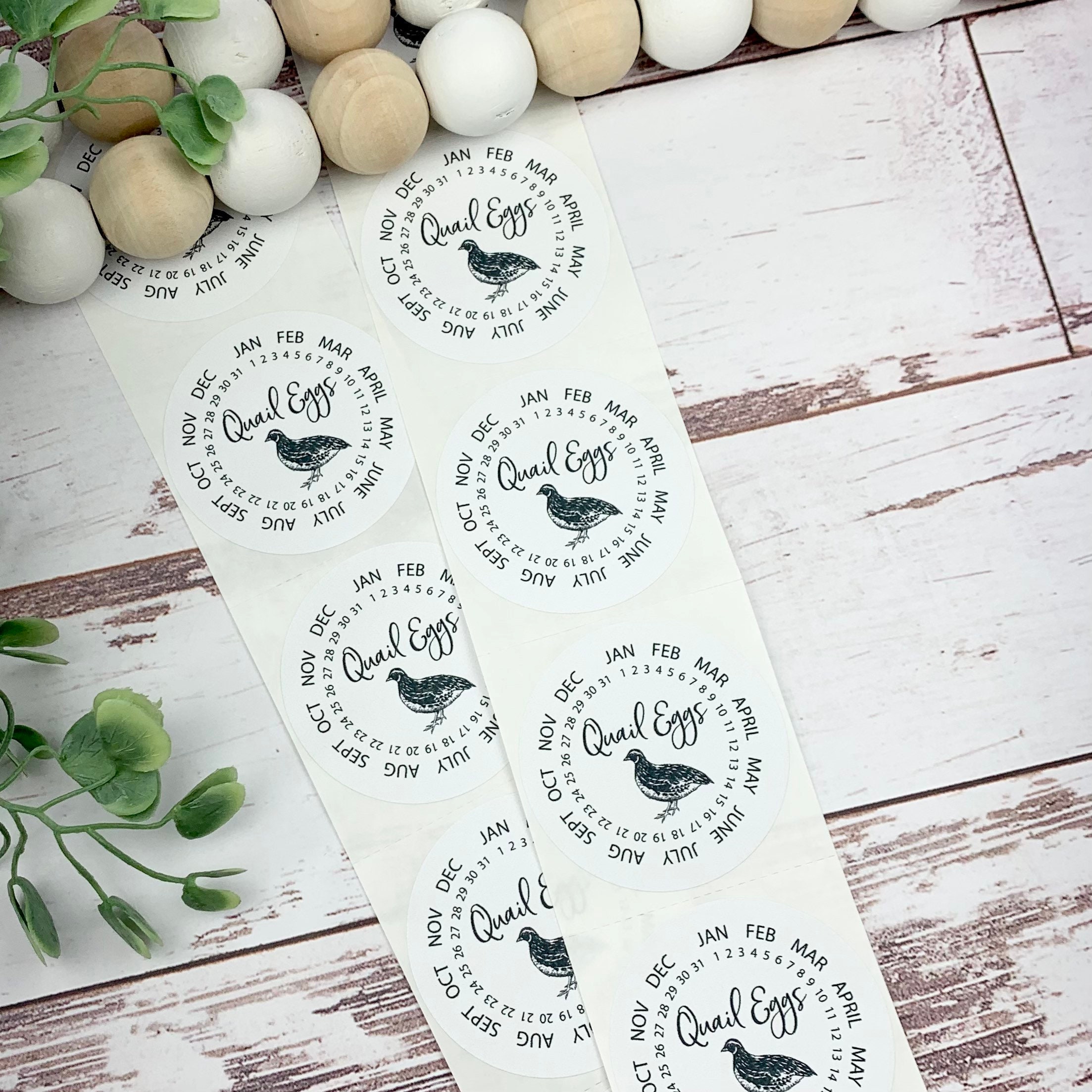 Quail Egg Stickers Quail Egg Carton Quail Egg Date Label Etsy