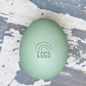 May include: A single, light green egg with a black outline of a rainbow and the word 