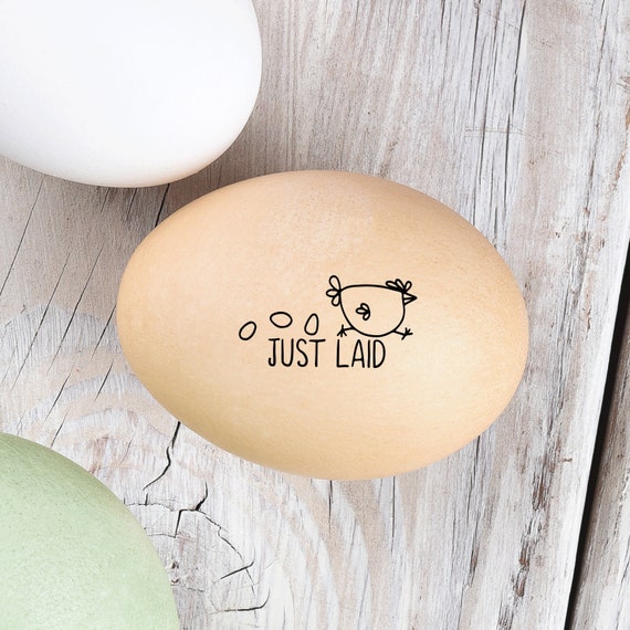 Egg Stamp Just Laid Mini Egg Stamp Chickens Egg Stamps Chicken Stamp Fresh  Eggs Chicken Lover Farmhousemaven 