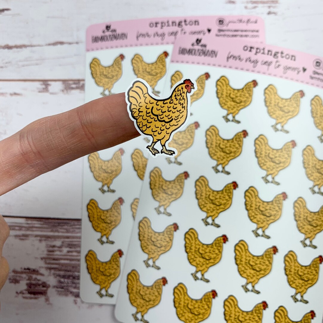 Buff Orpington Chicken Stickers - Egg Carton Stickers - Yellow Chicken ...