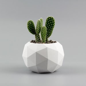 Geometric Concrete planter, Concrete Planter, Planter, concrete pot, cacti planter, Modern Planter, Succulent Planter, Pot for Succulent