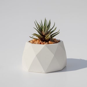 Concrete Planter, succulent planter, succulent concrete planter, geometric planter, cement planter, stylish concrete planter