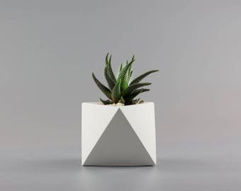 Concrete Planter, Minimalist Concrete Planter Pot , Concrete Planter , octahedron  planter, white concrete