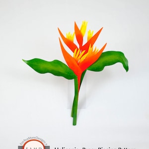 2D Heliconia Rainforest Hawaiian Flower SVG Digital Die Cut Paper Piecing Pattern for Card Making, Scrapbooking, and Invitations
