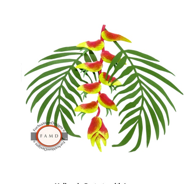 3D Heliconia Restrata Tropical Hawaiian Plant Flower SVG Templates for Cricut and Cameo Cutting Machines