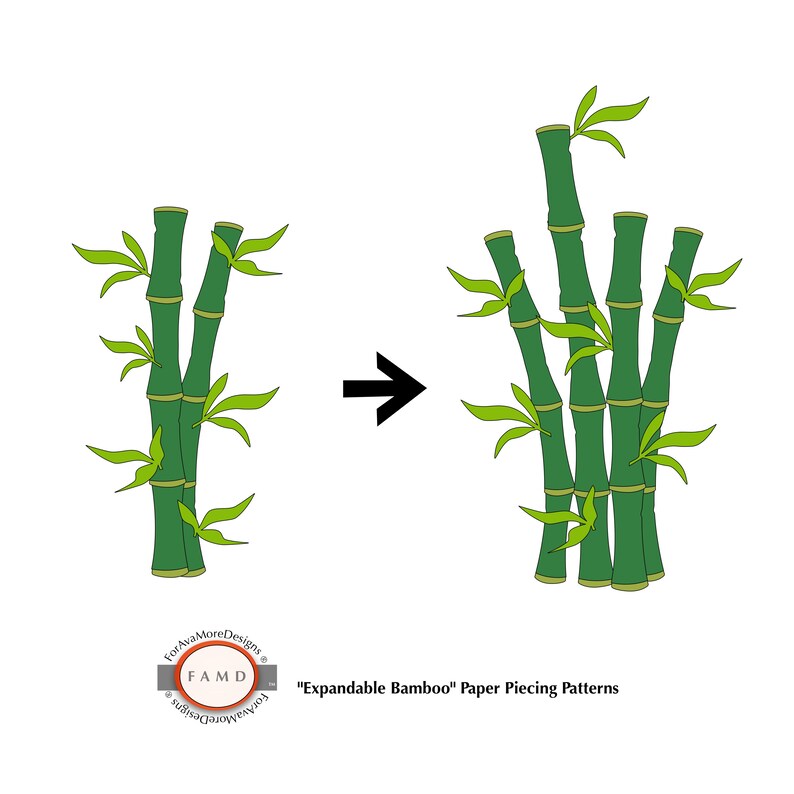 Bamboo house plant care image