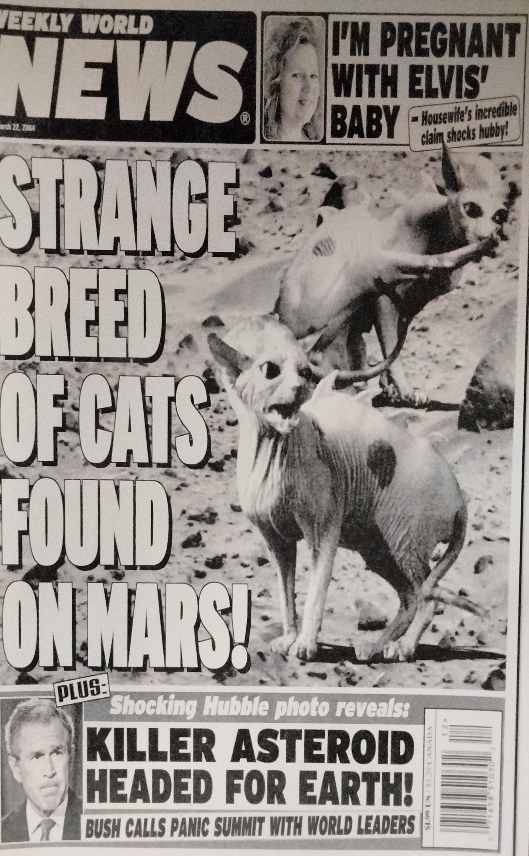 CATS ON MARS Weekly World News Laminated Print - Etsy, image size:1856x3000