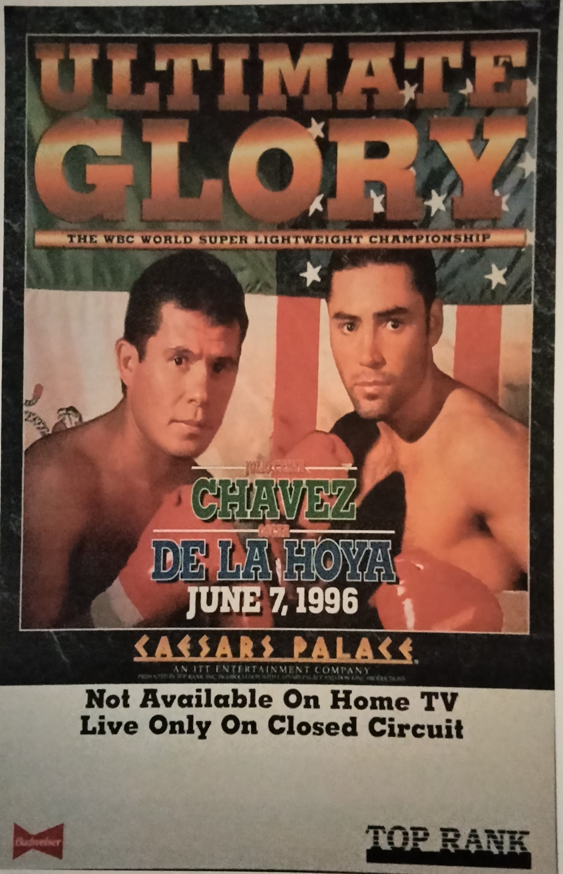 CHAVEZ Vs De La HOYA Fight Poster Laminated Print - Etsy