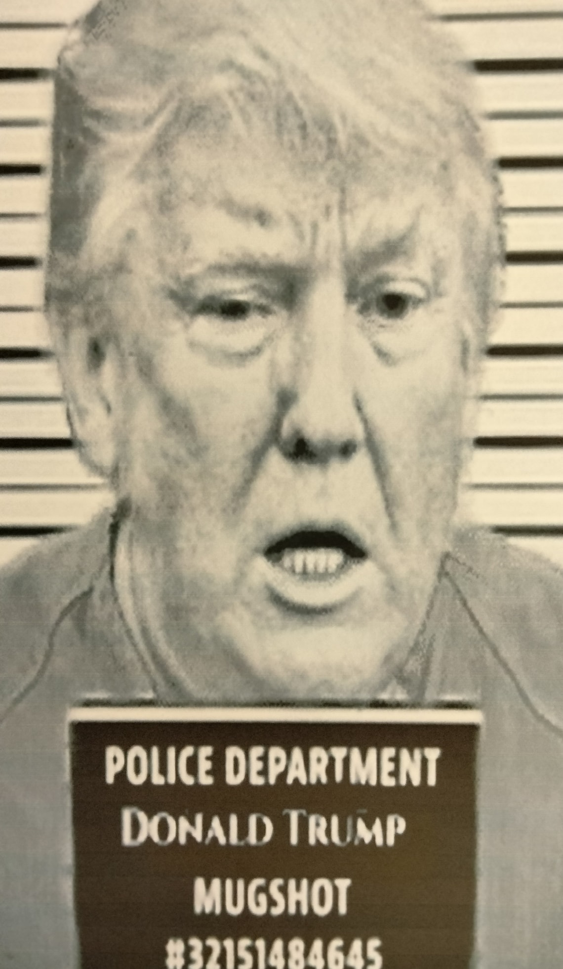 Donald TRUMP Mugshot Laminated Print - Etsy