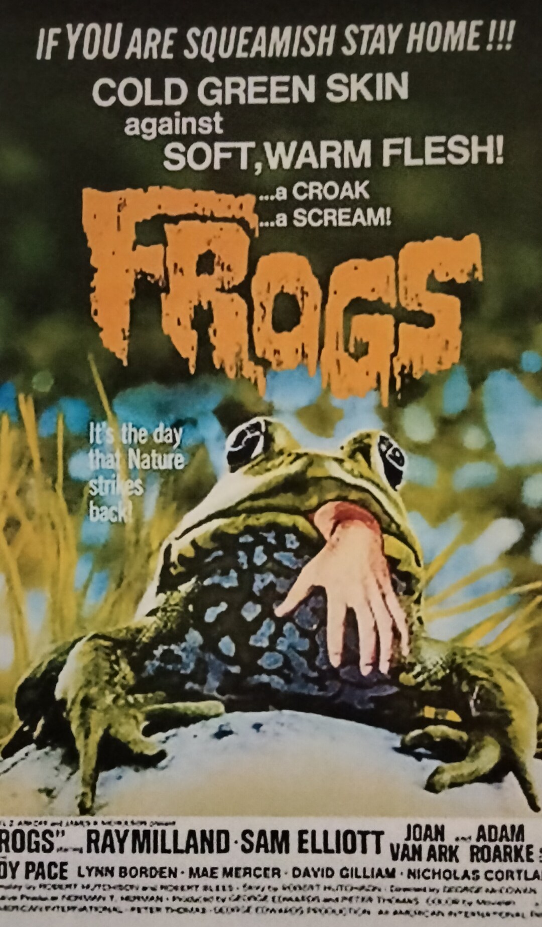 FROGS Movie Poster Laminated Print Etsy