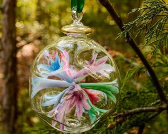 Egyptian Blown Glass Ornament- multi colors/red/blue/purple/gold/green flower burst