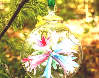 Egyptian Blown Glass Ornament- multi colors/red/blue/purple/gold/green flower burst. Handmade by professional to decorate your area