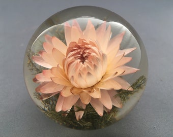 Hafod Grange 1997 Flower Resin Paperweight