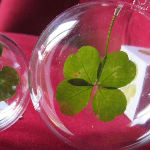 an XL 4-leaf clover in a transparent ball