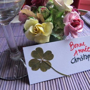 Mariage/ repas de fête : un trèfle à 4 feuilles porte-bonheur pour vos invités !