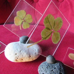1 pretty 4-leaf clover on crystal stand (or 5-leaf clover)