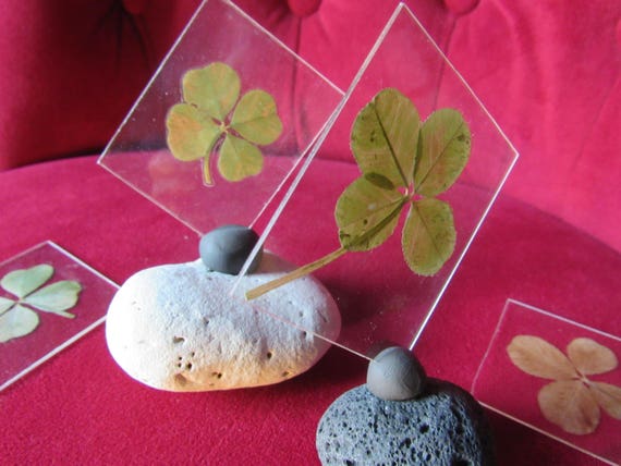 1 Joli Trefle 4 Feuilles Sur Support Crystal Ou Trefle A 5 Etsy 1 Joli Trefle 4 Feuilles Sur Support Crystal Ou Trefle A 5 Etsy